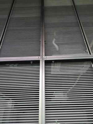 Esposizione trasparente del film di 1R1G1B LED, esposizione della parete divisoria di 4000mcd LED