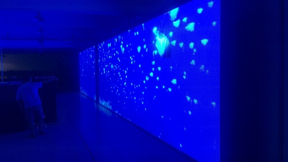 Segno programmabile fisso all'aperto IP65 della tenda foranea LED per la pubblicità